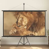 vidaXL Projekcijsko platno 90 " 16 : 9 | shoptok.hr
