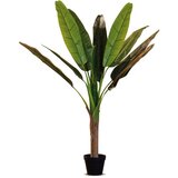  STABLO BANANE 16*125CM PVC 60259 | Eponuda.ba