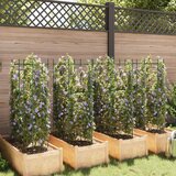 vidaXL Kavezi za rajčice 8 kom 116 cm od čelika i PP-a | shoptok.hr