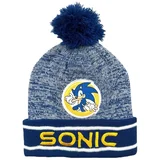 Sonic Kape Beanie