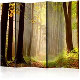  Paravan u 5 dijelova - Mysterious forest path II [Room Dividers] 225x172 Cijene