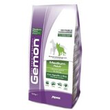 Gemon medium adult – granule 25/13 – hrana za srednje odrasle pse jagnjetina 3kg Cene