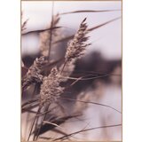 Malerifabrikken Plakat s okvirom 50x70 cm Mellow Grasses 3 – | shoptok.hr