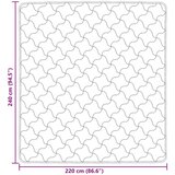  Poletna odeja Črna 220 x 240 cm Mikrofibra in Teddy flis, (5000284250) | Shoptok.si