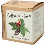 naturkraftwerk Set za gojenje Coffee to plant - kavni grm Cene