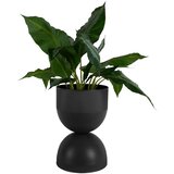 PT LIVING Kovinski okrasni cvetlični lonec ø 25,5 cm Tonar – | Shoptok.si