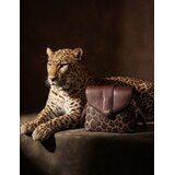 Vuch Crossbody torba Byrsa Leopard, 20 x 24 cm | shoptok.hr