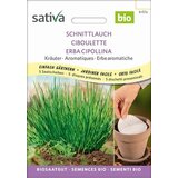 Sativa Drobnjak semenski krogi Cene