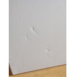 Savacoop Sklopivi plastični sto beli 180cm OUTLET Cene