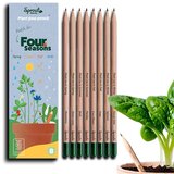  Svinčniki s semeni Sprout 4 letni časi (8 kosov) | Shoptok.si