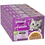 Whiskas 1+ Aromatic Selection 48 x 85 g - Mješavina u umaku Cijene