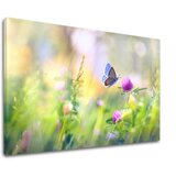  Slike na platnu šareno CVEĆE_161-11 (moderne slike na platnu) | ePonuda.com