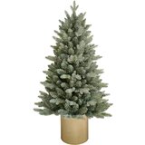  u metalnoj saksiji 75 cm 145 grana Cene