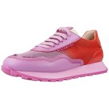 Hispanitas Modne superge CERVO-V24 Vijolična | Shoptok.si