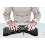 Genius Ergo KB-700,BLK,SER,USB | ePonuda.com