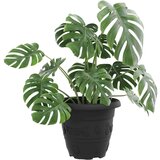  Okrugla saksija za cveće 24 pcs Crna Ø 26 x 21.5 cm Plastika - Crna Ø 22 x 18 cm 24 | shoptok.hr