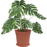  Saksije za biljke 6 pcs Crvena cigla Ø 19 x 16 cm Plastika | shoptok.hr