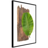  Poster - Forest Nature 20x30 Cijene