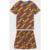 Sinsay Komplet dvodijelne pidžame Hot Wheels | shoptok.hr