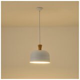  Luster na kablu SIMPLO 1xE27/15W/230V, bela, prečnik 27 cm | Eponuda.com
