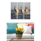 Wallity MDF1401707 Multicolor Decorative MDF Painting (3 Pieces) | Eponuda.ba