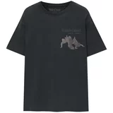 Pull&Bear Majica barva blata / temno siva / črna