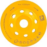  DISK 125 MM PM-DTG-1252T Slike
