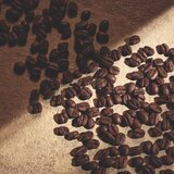 Dolce & Gabbana Devotion Pour Homme parfum za moške 50 ml | Shoptok.si