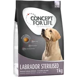 Concept for Life 1 kg oz. 1,5 kg po posebni ceni! - Labrador Sterilised (1 kg)