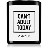 Candly & Co. Can't adult today dišeča sveča 250 g | Shoptok.si