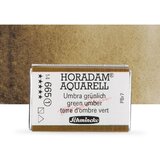 Artmie akvarel boje Schmincke Horadam cela posudica | 665 Green Umber