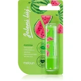 Juicy Summer Watermelon balzam za usne 4,5 g