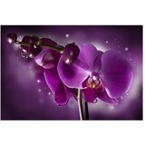 Tapeta - Fairy tale and orchid 450x270 | shoptok.hr