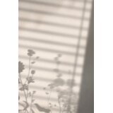 Venture Home poster Flower Shadow 50 × 70 cm, bijeli | shoptok.hr