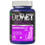 Dr.Vet reprovet male suplement za mužjake