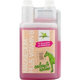 Bense & Eicke Magnezij plus vitamin B Cene