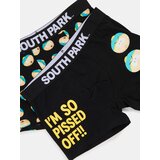Sinsay Komplet od 2 para bokserica s visokim udjelom pamuka South Park Slike