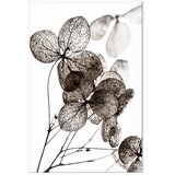  Slika - Transparent Clover (1 Part) Vertical 20x30 Premium Print | shoptok.hr