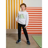 Sinsay Slim fit traperice | shoptok.hr