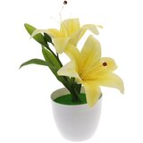 Master Cvijeće ljiljan 24cm u saksiji 7 boja 251325 | Eponuda.ba