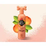 quick fix 2in1 šampon 300 ml