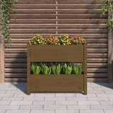  Sadilica smeđa boja meda 77x25x66 cm od masivne borovine | Eponuda.com