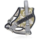 INF Pasja oprsnica: Udobna in odsevna Green XS, (5000124612) | Shoptok.si
