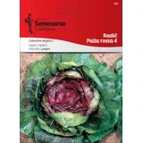 Radič "Palla rossa 4" - 8 g