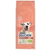 Purina suva hrana za pse dog chow adult all sensitive losos 14kg Cene