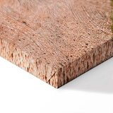  Slika - Italian cypresses (1 Part) Vertical 20x30 Premium Print | shoptok.hr