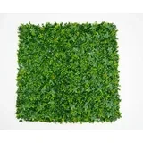 zeleni zid 3D tara 2 100X100 cm BOLZZIDTAR2
