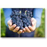  Slike na platnu kuhinja (moderne slike na platnu) | ePonuda.com