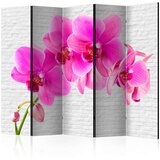  Paravan u 5 dijelova - Pink excitation II [Room Dividers] 225x172 Cijene
