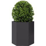  Vrtna sadilice 2 kom crna šesterokutna 46x40x45 cm čelična | Shoptok.si